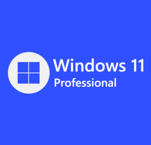 Windows 11 Pro